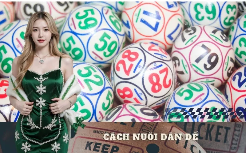 Cách Nuôi Dàn Đề Hiệu Quả Theo Ngày, Theo Tuần Chuẩn